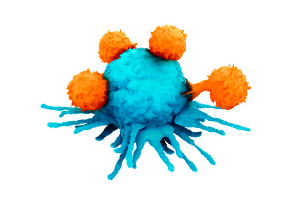 Illustration of t-cells 