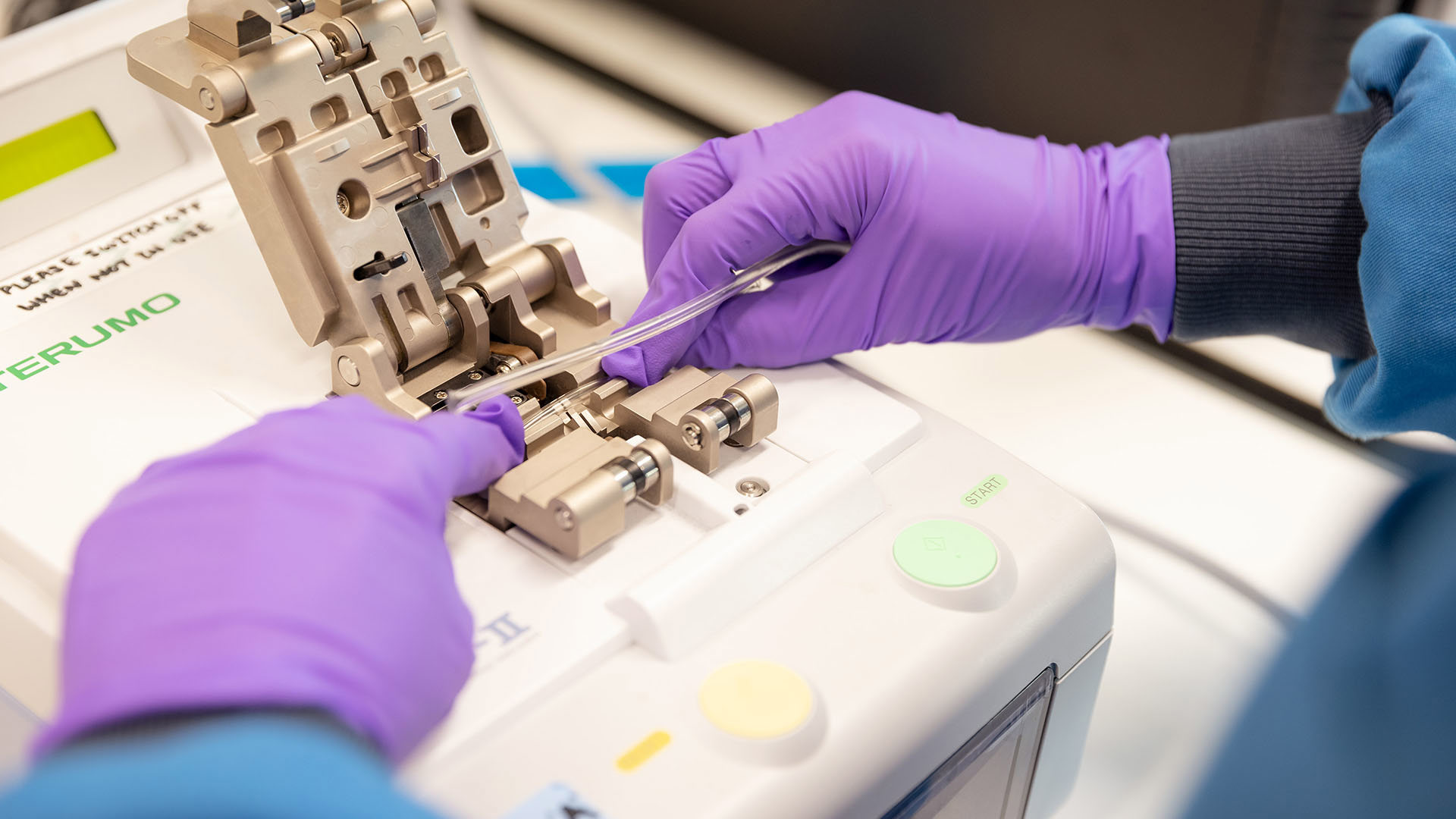 Cellula e terapia genica