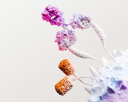 Immagine immuno-oncologia