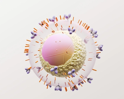 HIV Virus
